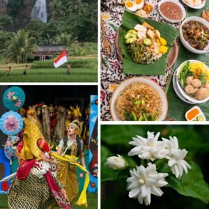explore cultures