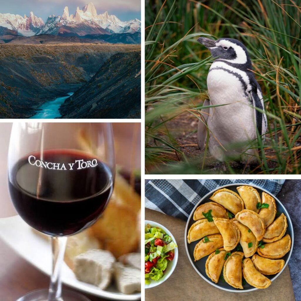 Chile collage